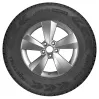 Ikon (Nokian Tyres) Autograph Snow C3 заказать